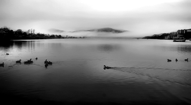 Photographie par KarenC pour DesignCrowd (Community Contests) | Design #9006690