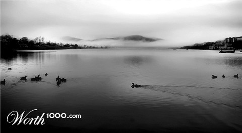 Photography by KarenC