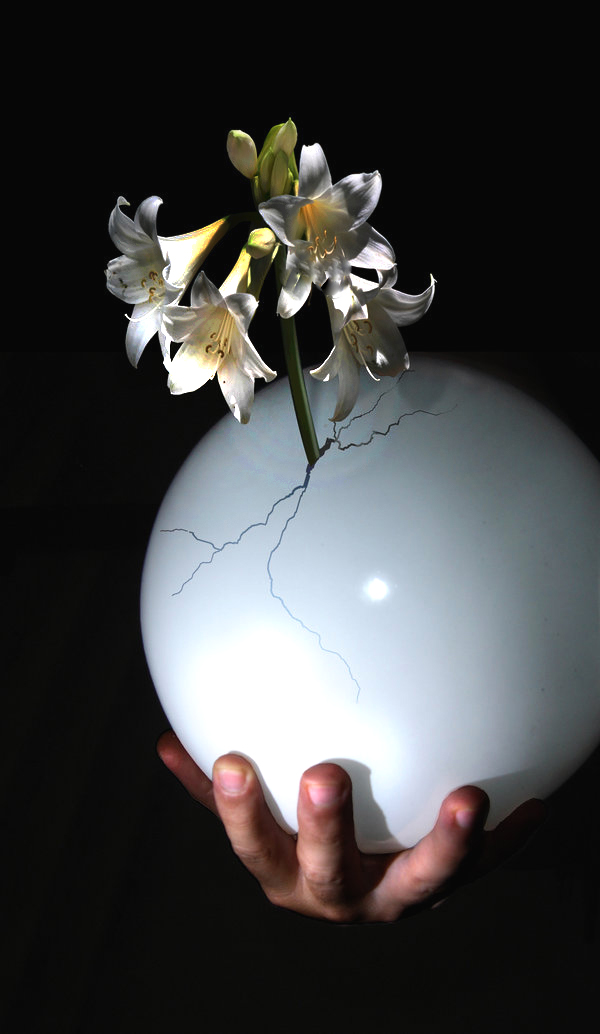 Design Photoshop par frogfreak99 pour DesignCrowd (Community Contests) | Design #9017034