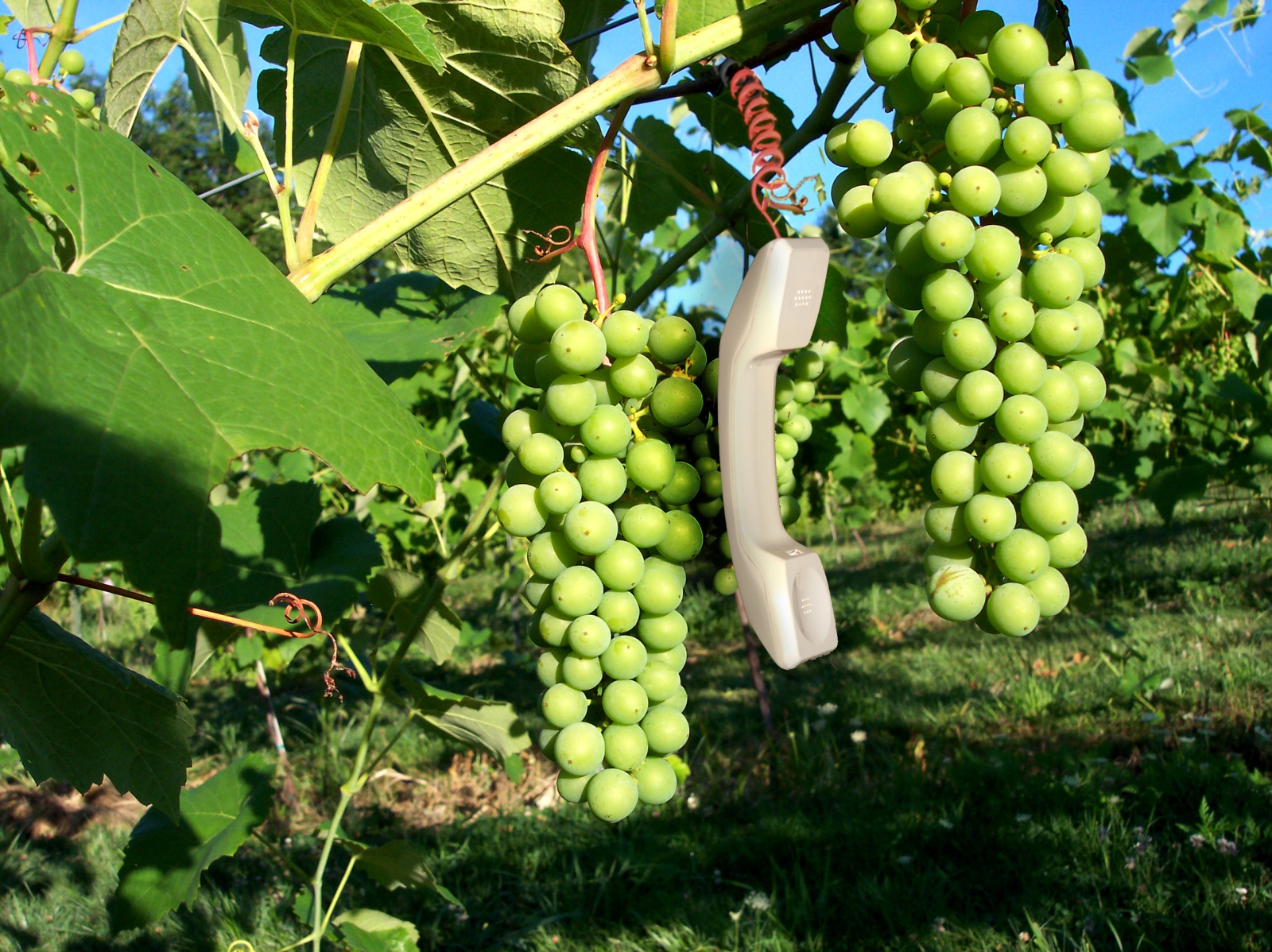 Design Photoshop par PrincessLydian pour DesignCrowd (Community Contests) | Design #9005881