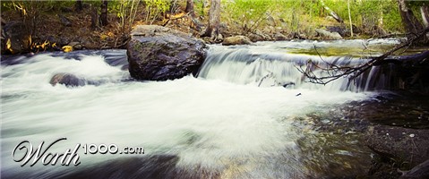 Photography by isaidwhat