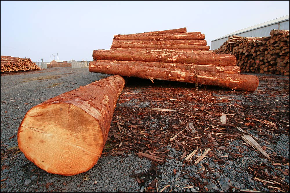 Photography by SigloV for DesignCrowd (Community Contests) | Design #9012214