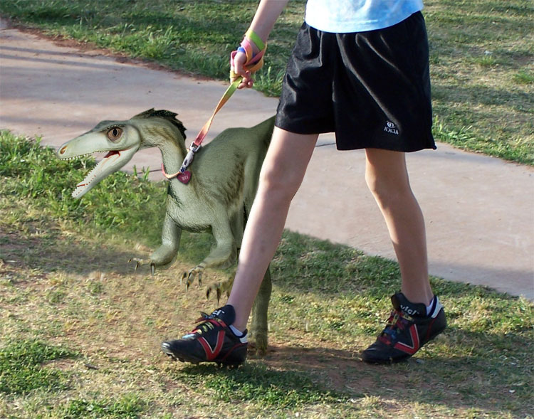 Photoshop Design by spiraleye for DesignCrowd (Community Contests) | Design #9005829