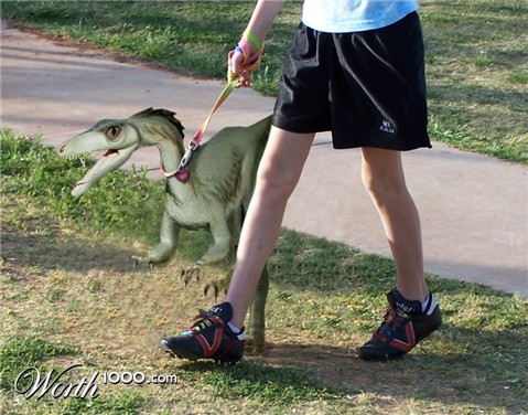 Photoshop Design by spiraleye