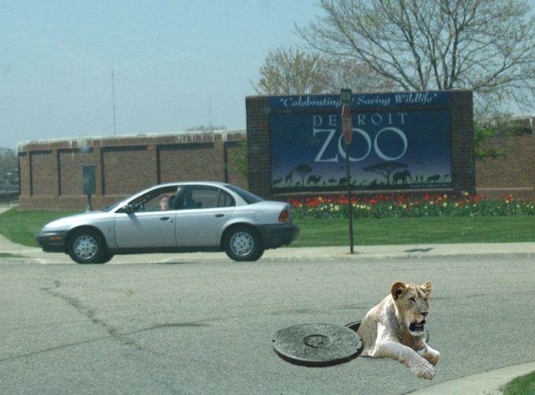 Photoshop Design by Qofcheez for DesignCrowd (Community Contests) | Design #9010132