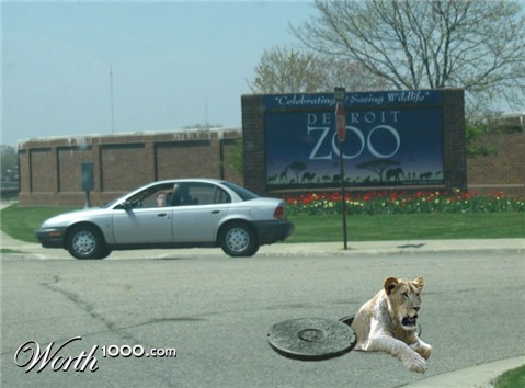 Photoshop Design by Qofcheez