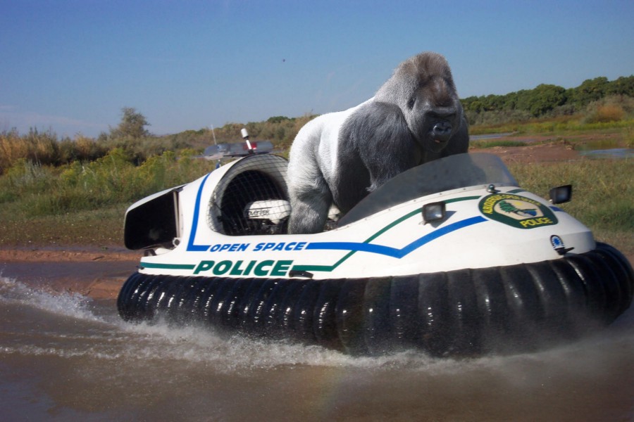 Photoshop-Design von Fishwife für DesignCrowd (Community Contests) | Design #9010142