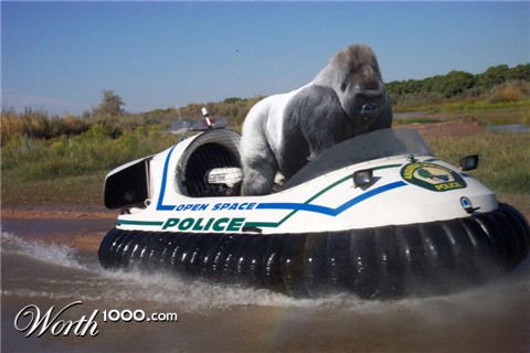 Photoshop Design by Fishwife