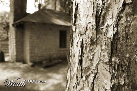 Photography by starshimmer