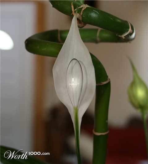 Photoshop Design by blamont