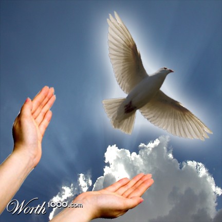 Photoshop Design by WHSIIIPS