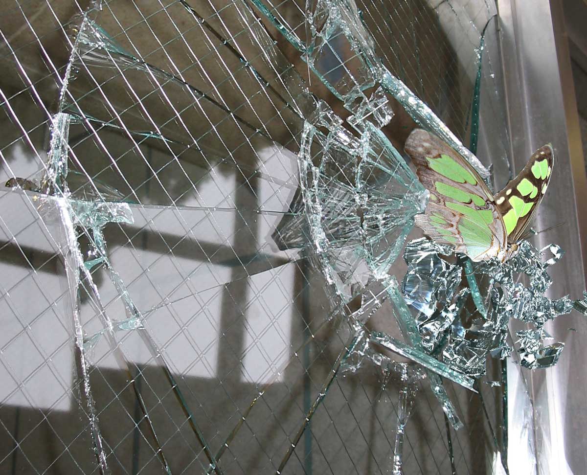 Photoshop Design by philgtaylor for DesignCrowd (Community Contests) | Design #9010147