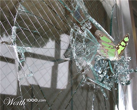 Photoshop Design by philgtaylor