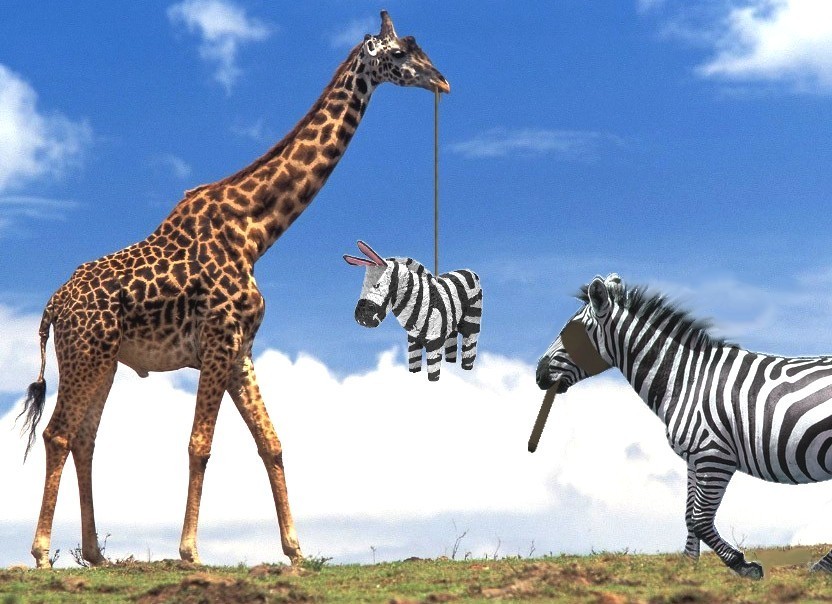 Photoshop Design by liberty2007crusader for DesignCrowd (Community Contests) | Design #9008150