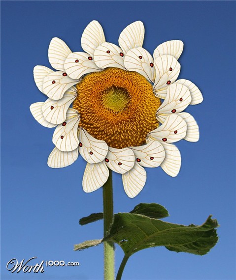 Photoshop Design by JClark8220