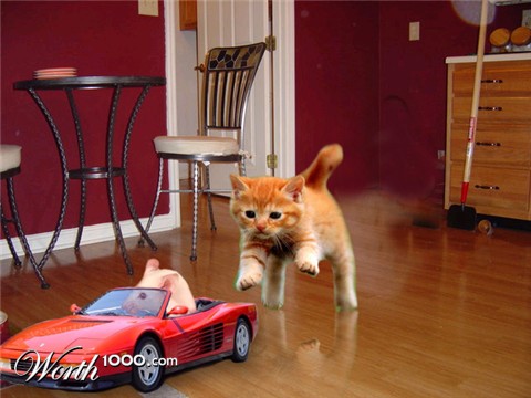 Photoshop Design by bignasty78