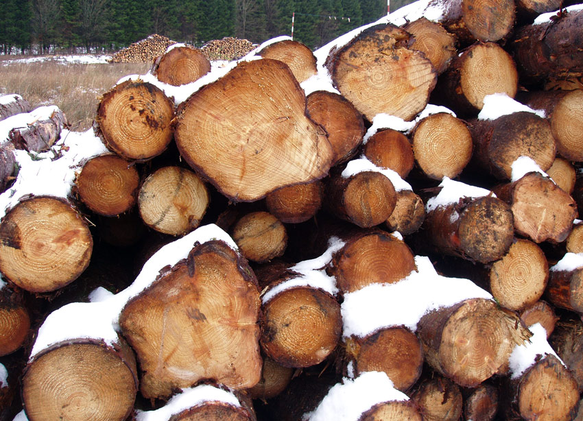 Photography by splong for DesignCrowd (Community Contests) | Design #9012246