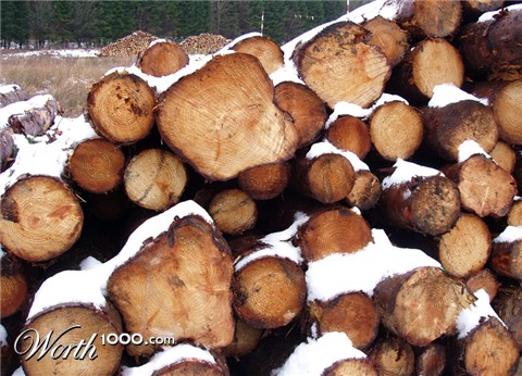 Photography by splong