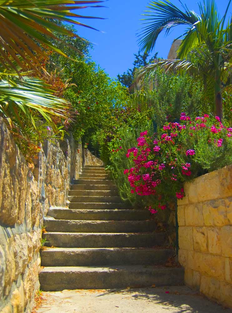 Photography by NatashaP for DesignCrowd (Community Contests) | Design #9013256