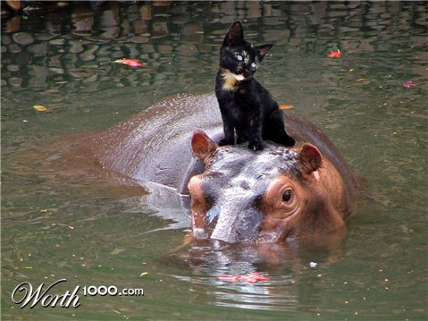 Photoshop Design by Yukarangz