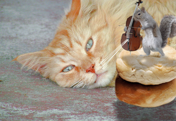 Photoshop-Design von kooskoodiroo für DesignCrowd (Community Contests) | Design #9008156