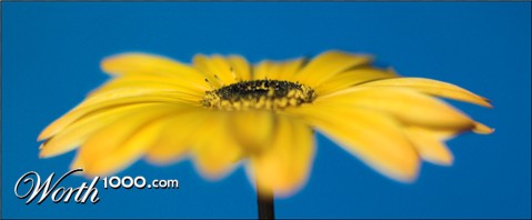 Photography by kimbomac