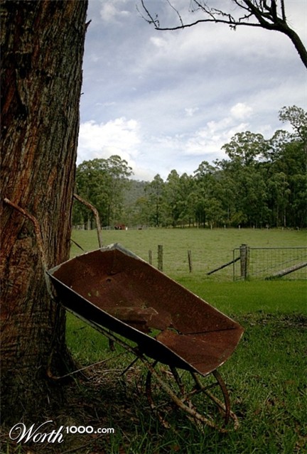 Photography by Fathom