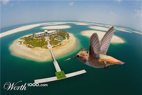 Photoshop Design by raschyd