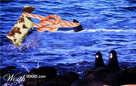 Photoshop Design by modabasha