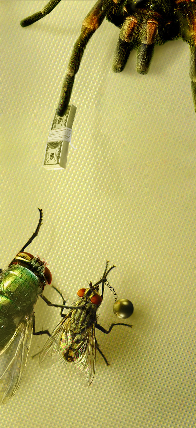 Design Photoshop par magami pour DesignCrowd (Community Contests) | Design #9008197