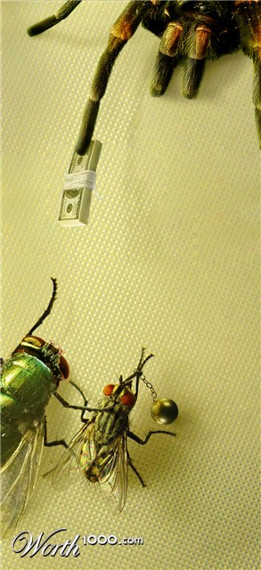 Photoshop Design by magami