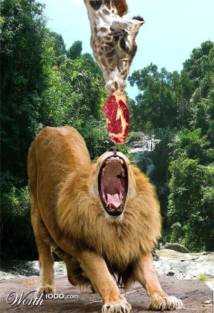 Photoshop Design by willyr