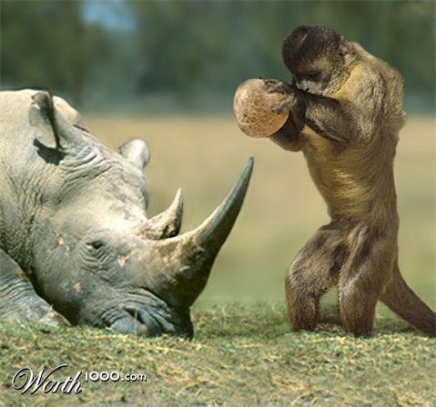 Photoshop Design by mzpresto