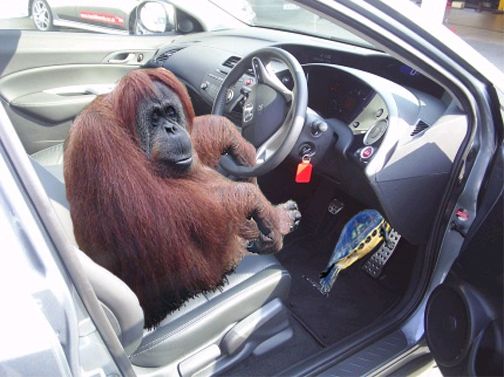 Photoshop Design by PeterAAAWelch for DesignCrowd (Community Contests) | Design #9010201