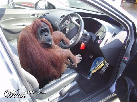 Photoshop Design by PeterAAAWelch