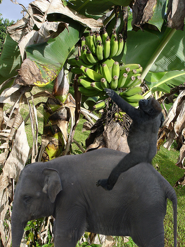 Diseño de Photoshop por Chasse para DesignCrowd (Community Contests) | Diseño #9008262