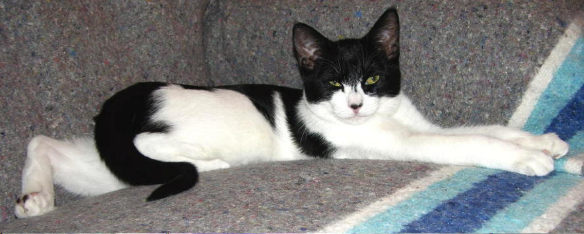 Photographie par cliknsnap pour DesignCrowd (Community Contests) | Design #9006903