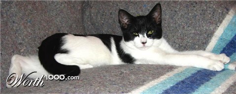 Photography by cliknsnap