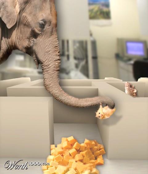 Photoshop Design by jtkremer89