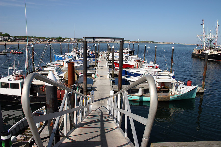 Fotografía por Exaspera para DesignCrowd (Community Contests) | Diseño #9009963