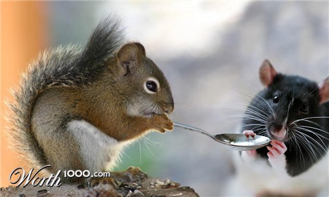 Photoshop Design by fandys