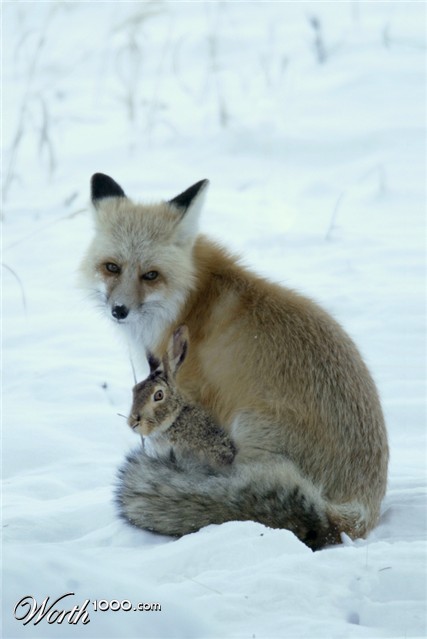 Photoshop Design by resquin