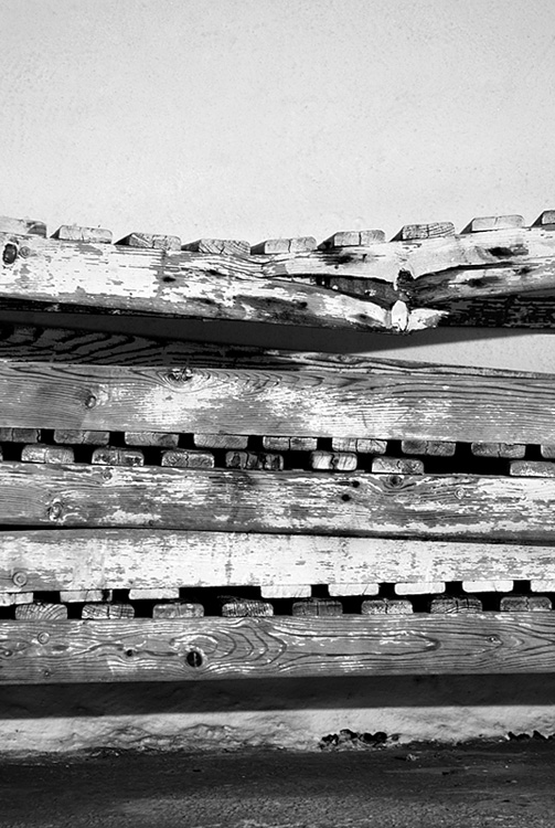 Photography by artissa for DesignCrowd (Community Contests) | Design #9012216