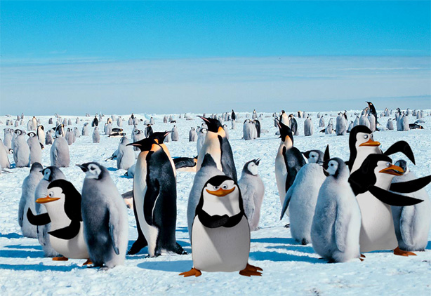 Photoshop-Design von shermanio für DesignCrowd (Community Contests) | Design #9009498