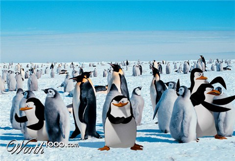 Photoshop Design by shermanio