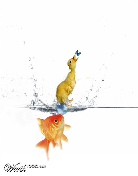 Photoshop Design by Fishwife