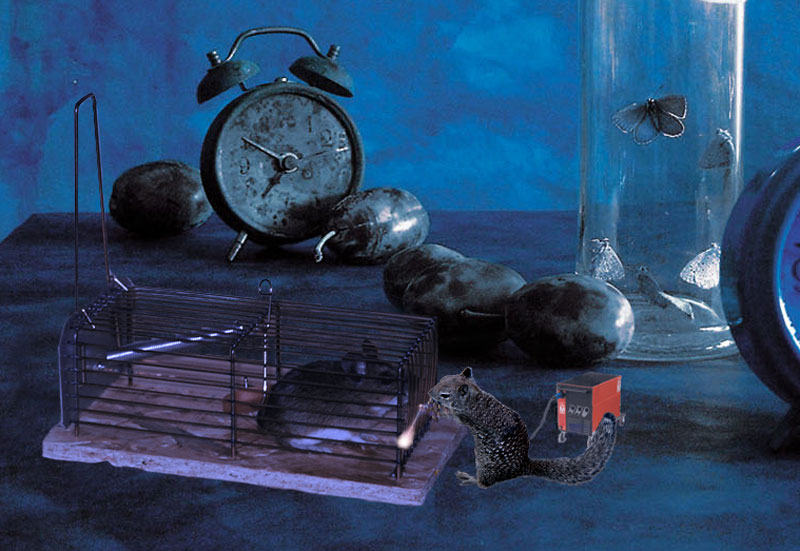 Diseño de Photoshop por underworth para DesignCrowd (Community Contests) | Diseño #9008265