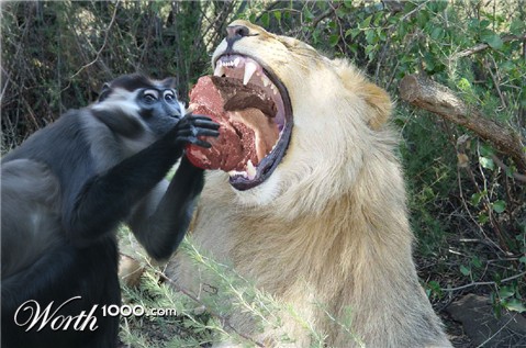 Photoshop Design by utahevan