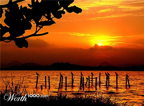 Photography by resouzaesouza