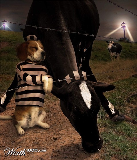 Photoshop Design by Deschain420